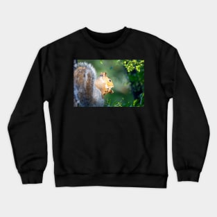 Squirrel eating Crewneck Sweatshirt